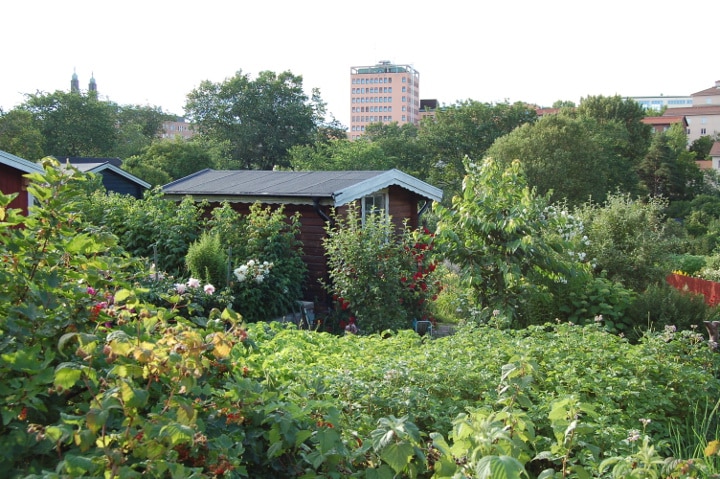 jardins Aubervilliers